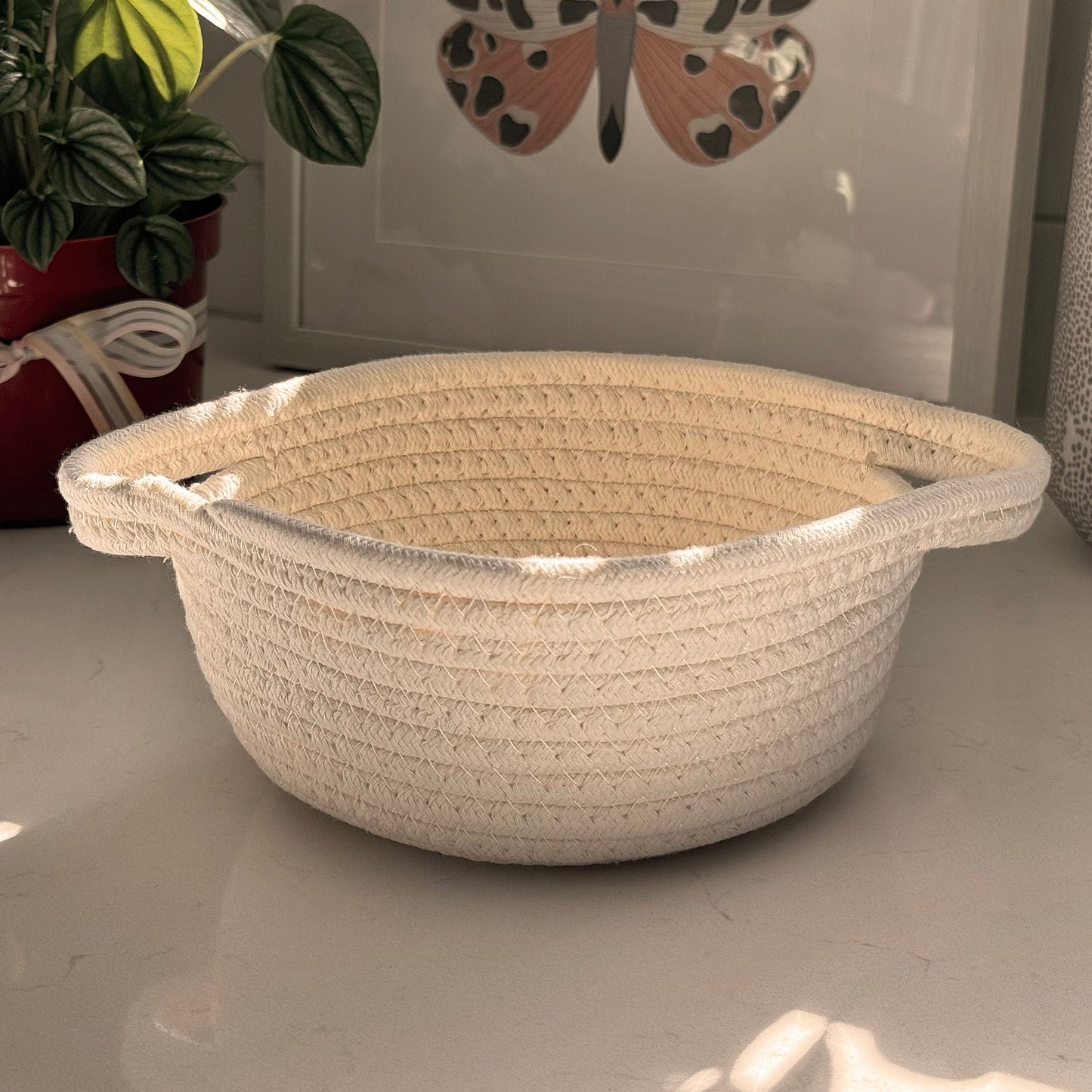 Bitsy Basket with Color Fluff