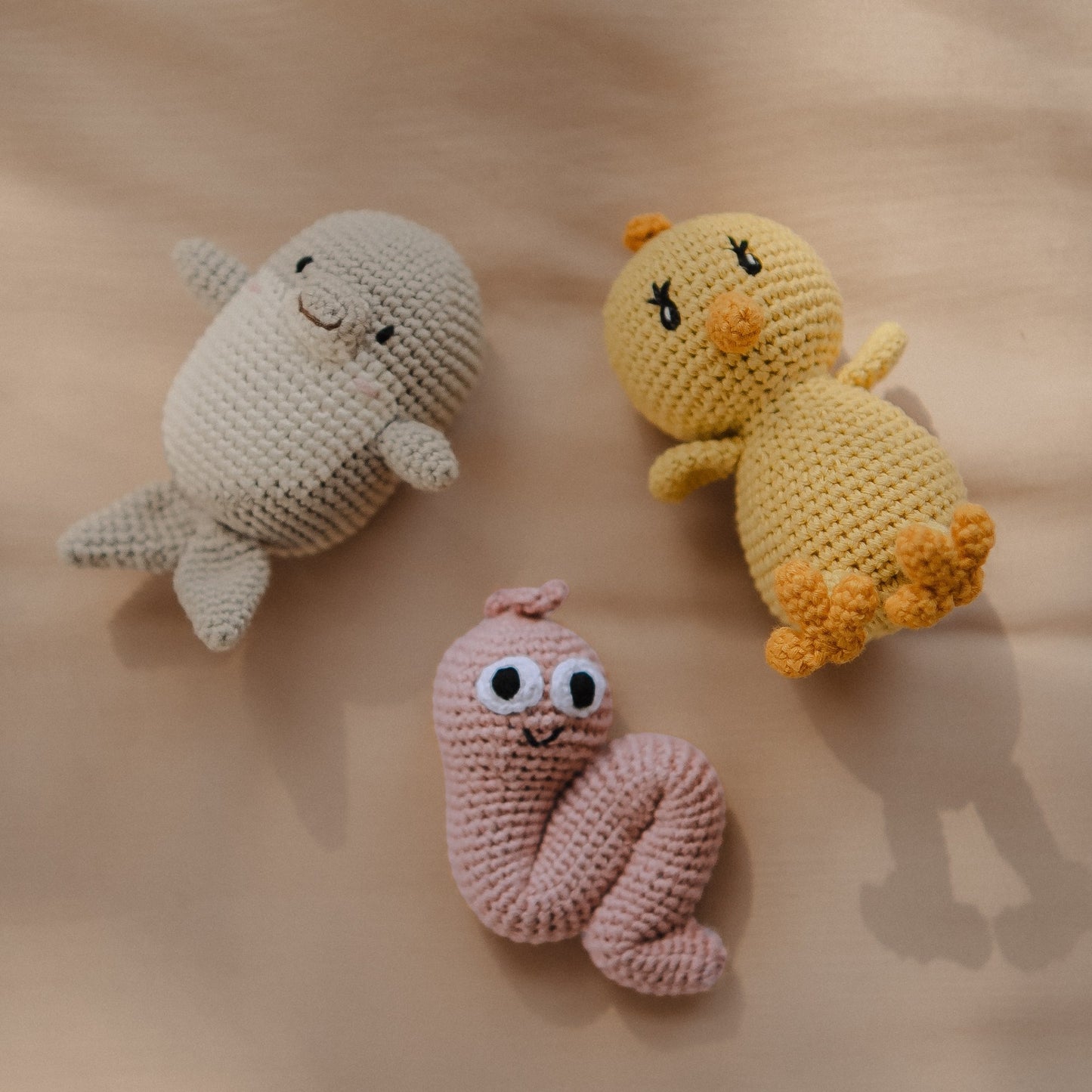 Sammy the Squirmy Wormy