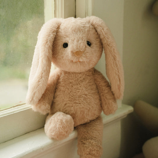 Bella the Bouncy Bunny - Buddy