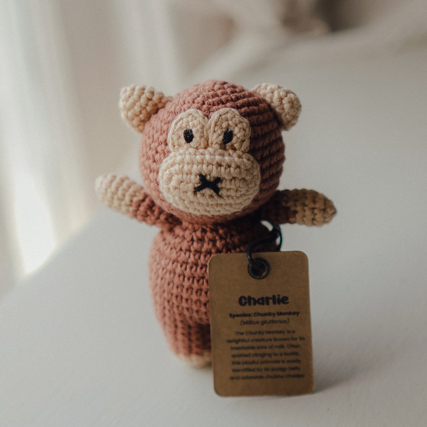 *Chonky* Charlie the Chunky Monkey