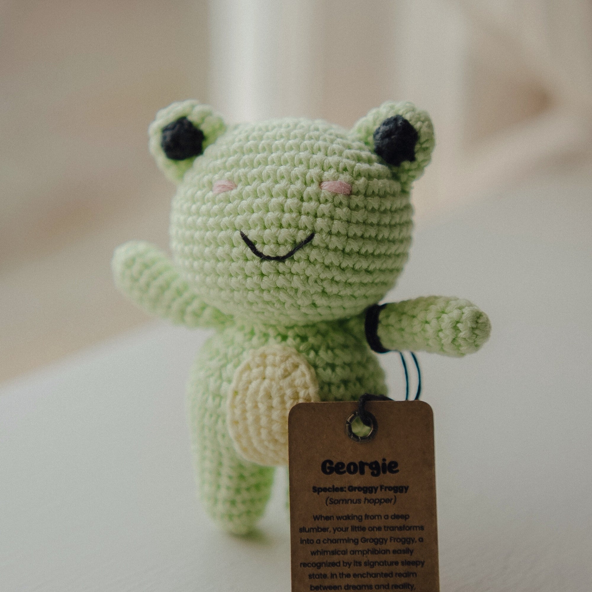Georgie the Groggy Froggy - *Chonky* Bitsy Crochet Stuffed Animal ...