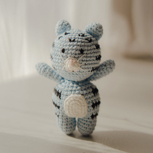 *Chonky* Stella the Spitty Kitty