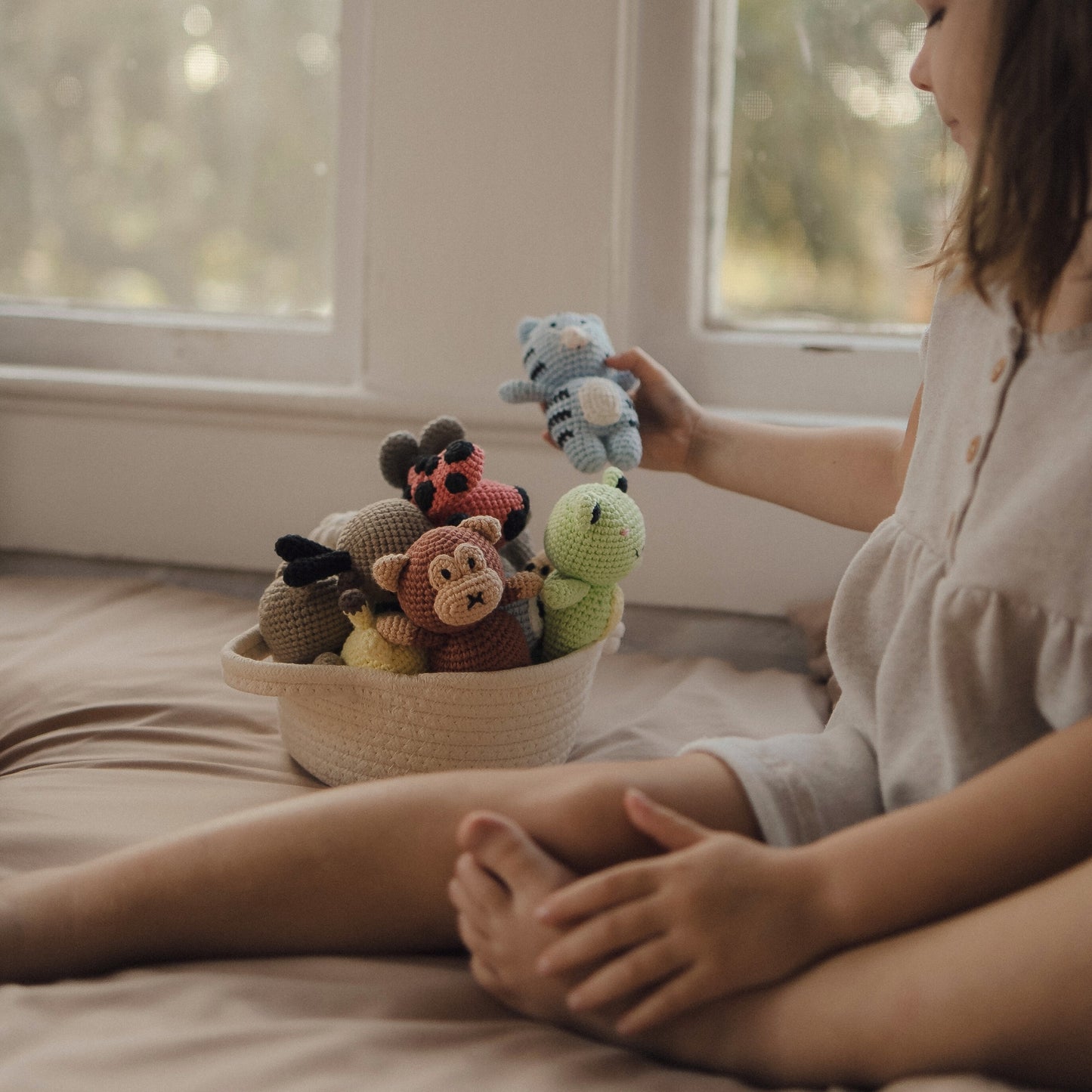 *Chonky* Stella the Spitty Kitty