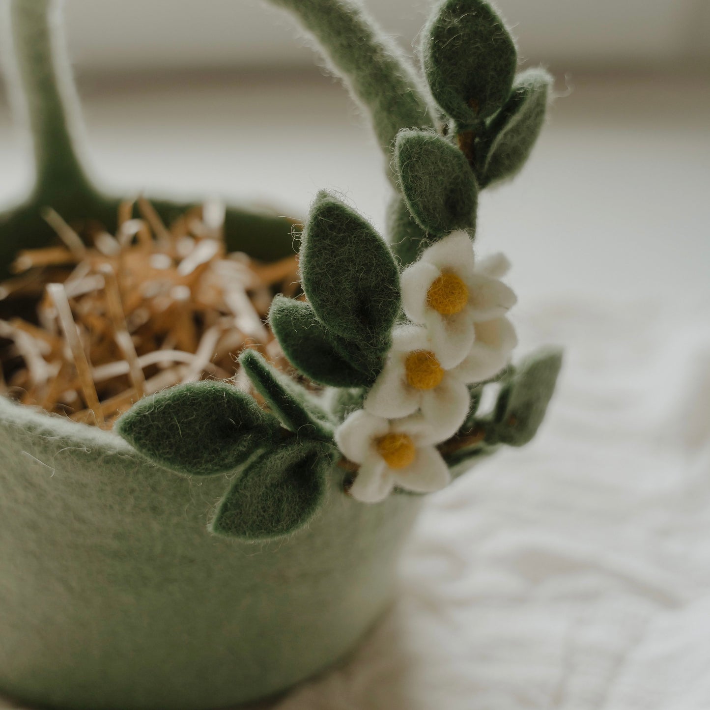 Blossoms Basket Easter Bundle