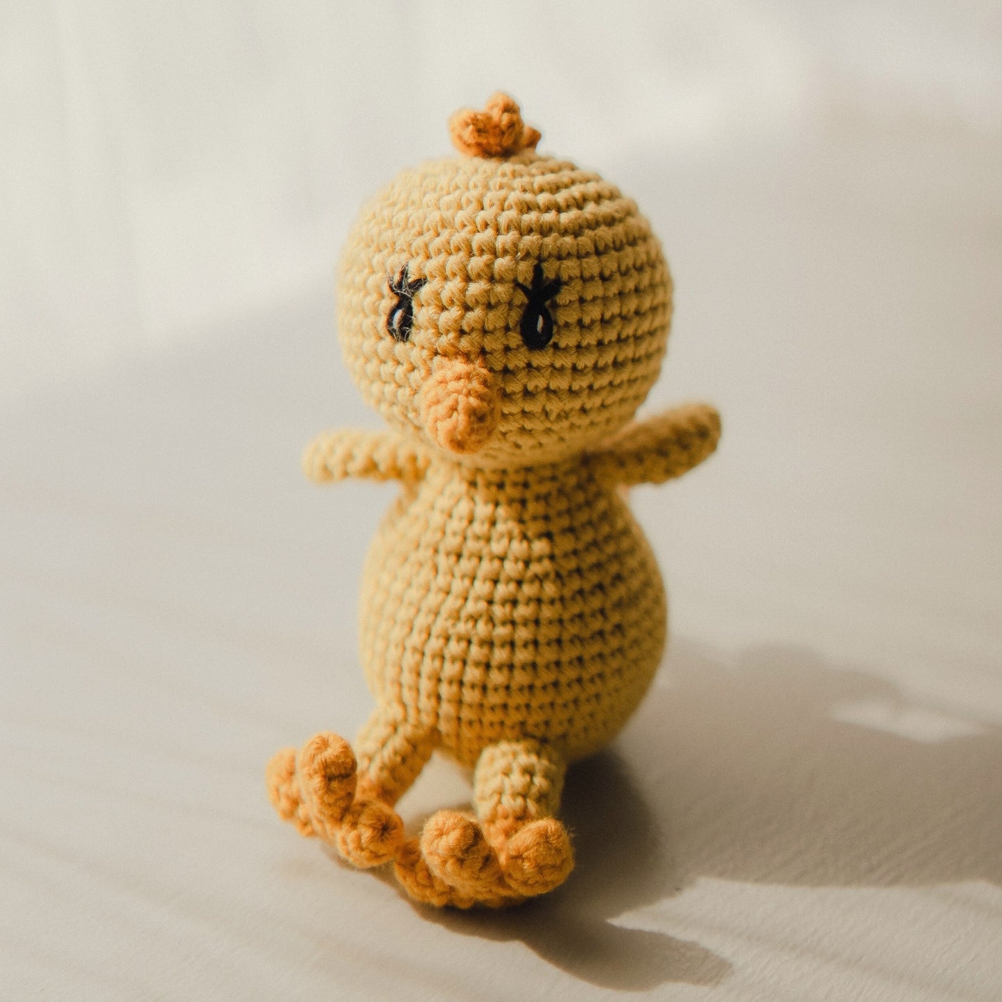 Daisy the Dirty Birdy