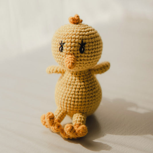 Daisy the Dirty Birdy