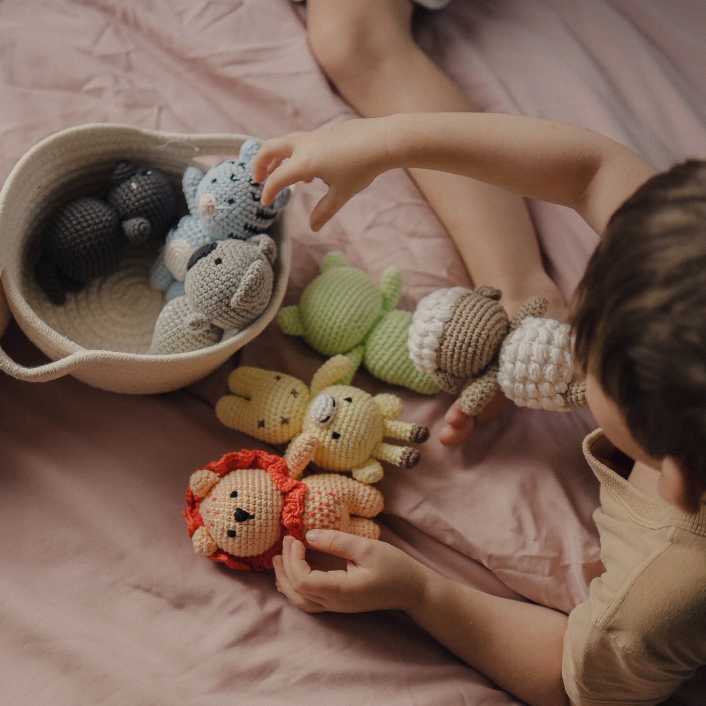 *Chonky* Chloe the Cryin Lion