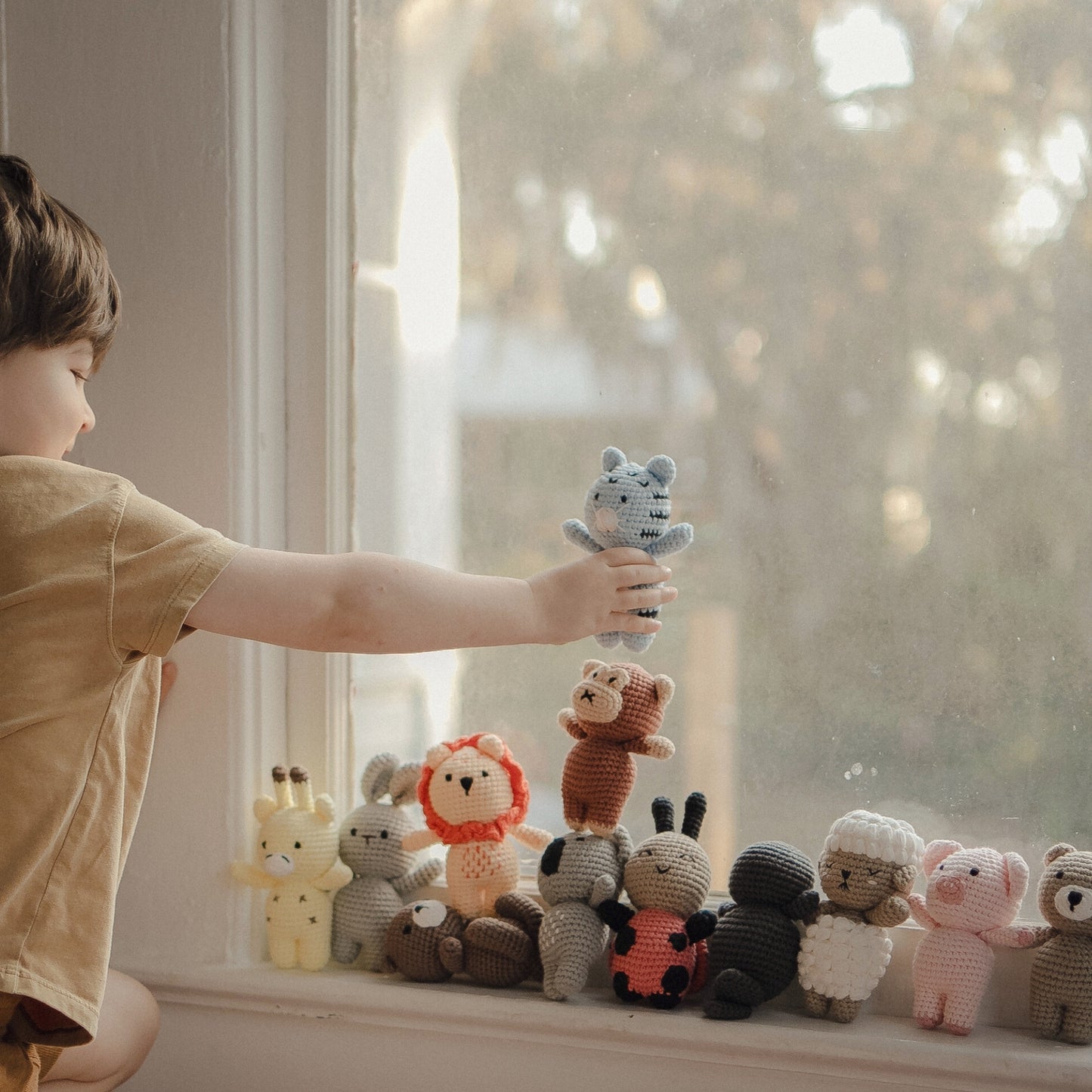 *Chonky* Stella the Spitty Kitty