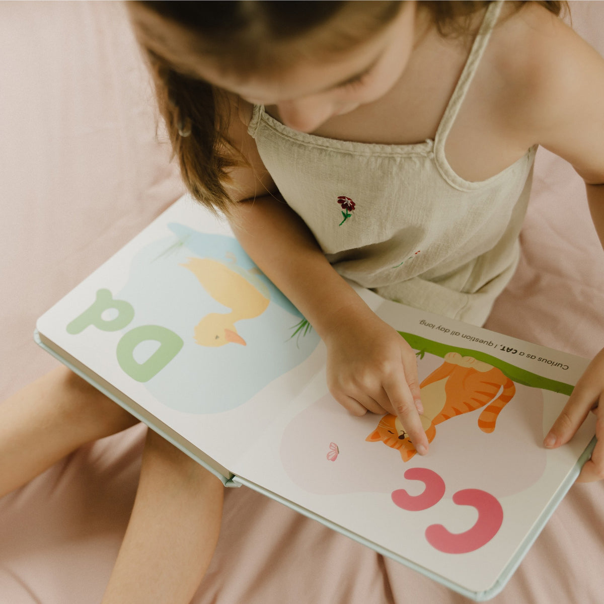 "Wild Me from A to Z" Board Book