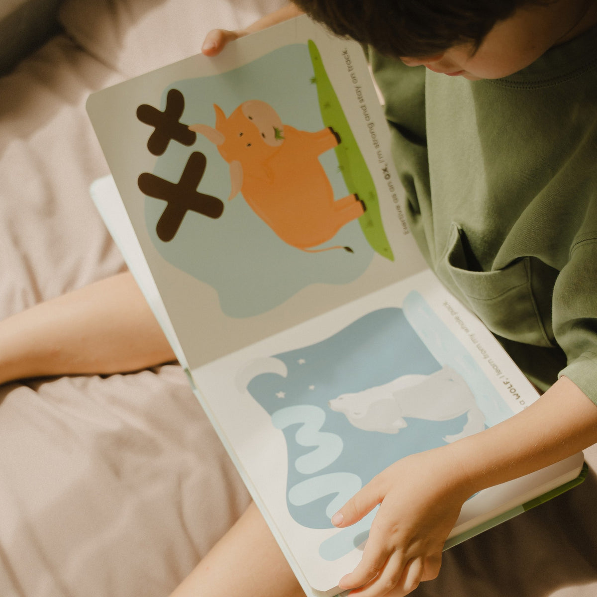 "Wild Me from A to Z" Board Book