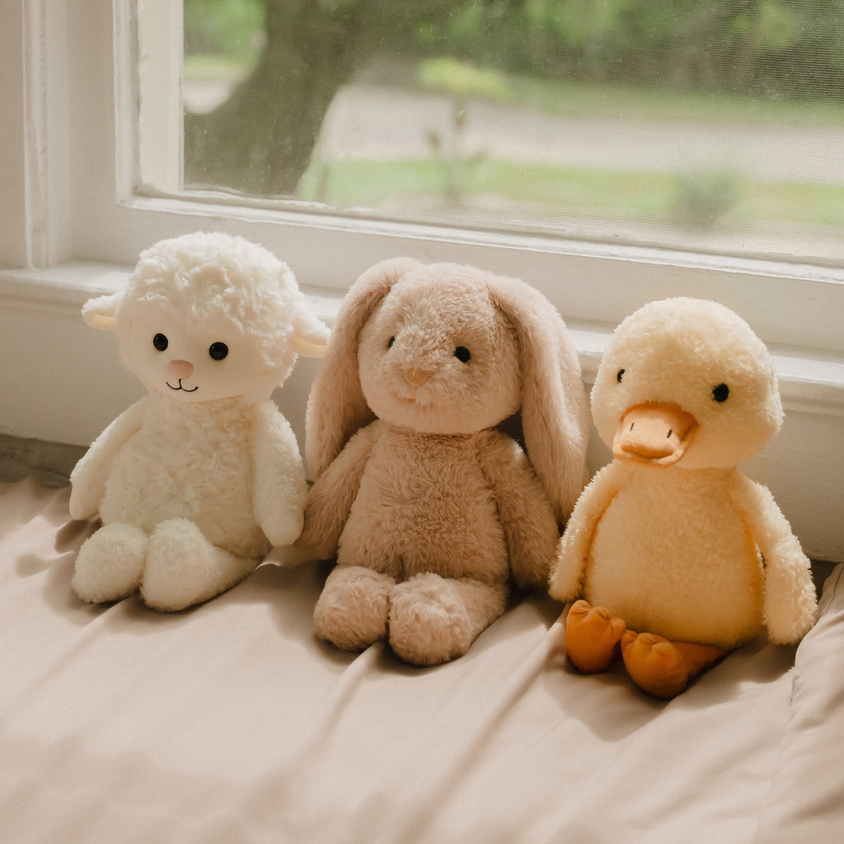 All 3 Buddies + "Wild Me from A to Z"