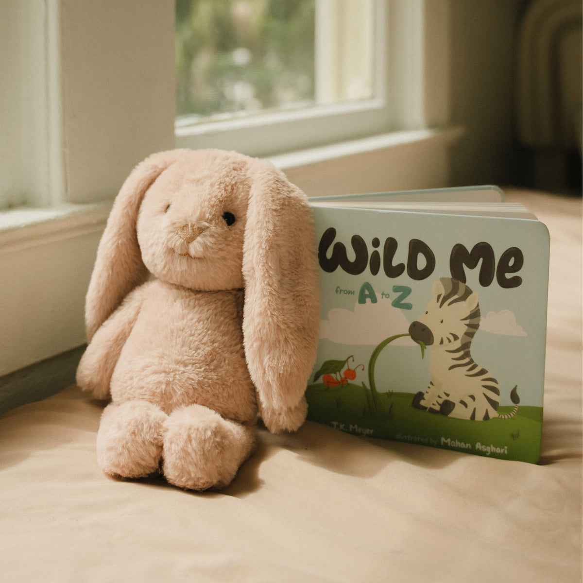 Bella the Bouncy Bunny - Buddy