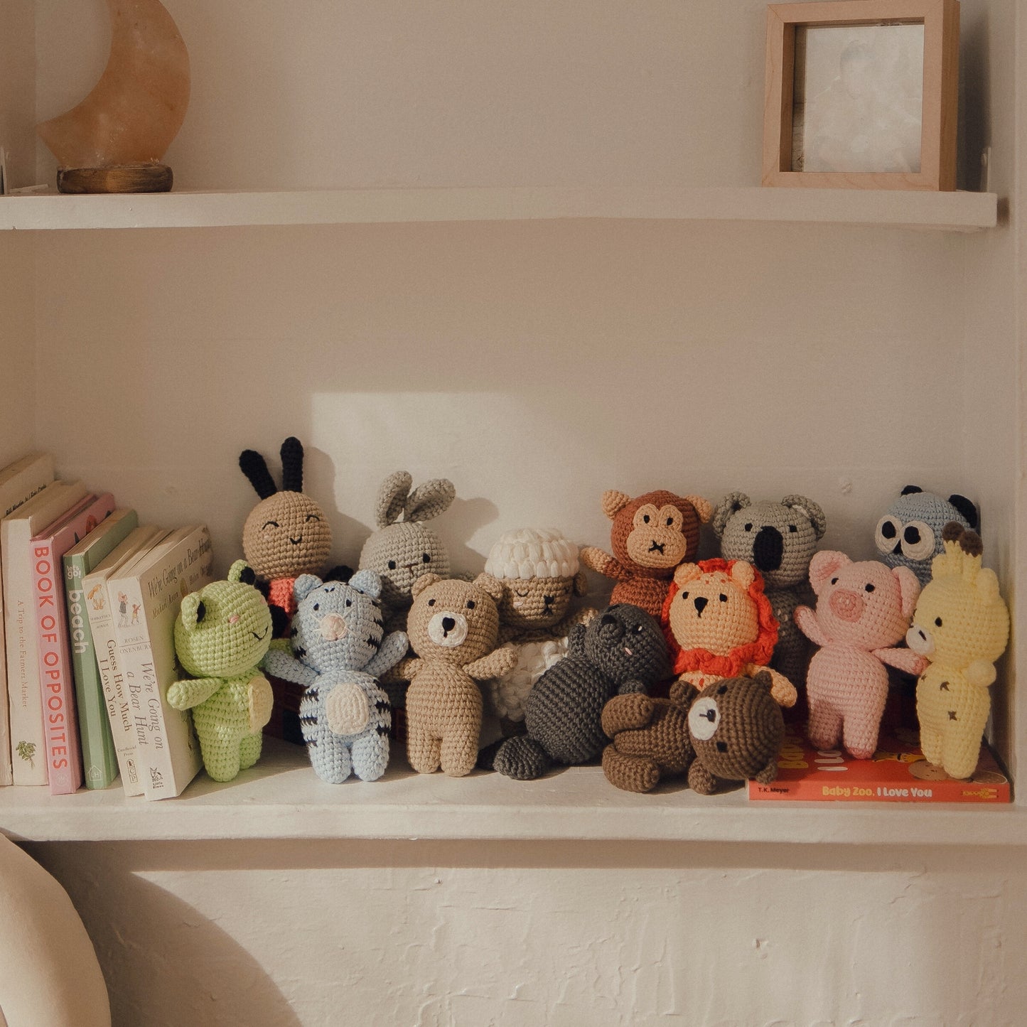 The Whole Zoo (Chonky) - Collection of 14 *Includes Baskets