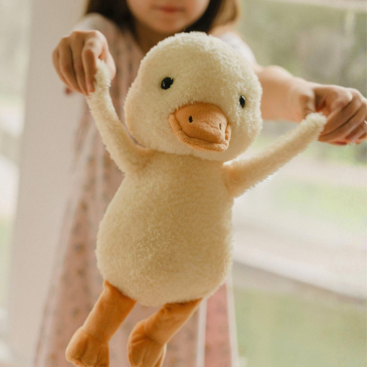 Dylan the Determined Duck - Buddy