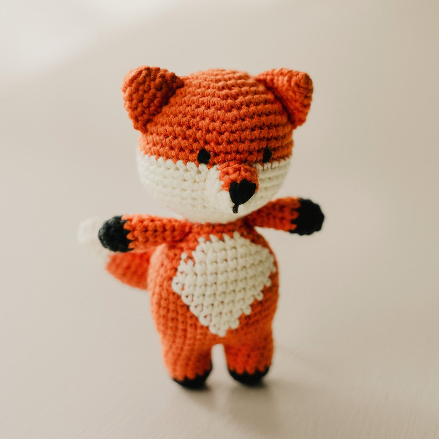 Finn the Feisty Fox