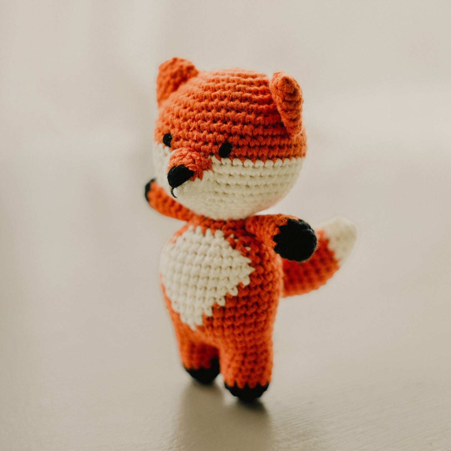 Finn the Feisty Fox